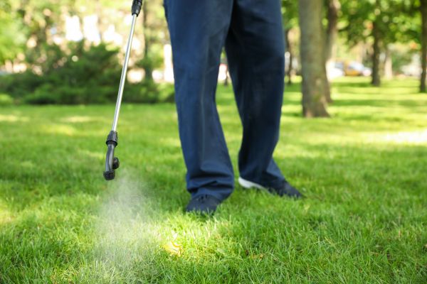 Littleton Lawn Treatment