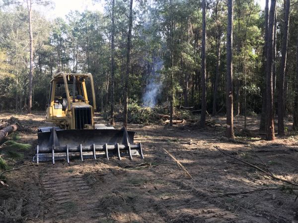 Littleton Land Clearing