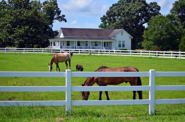 Littleton Fence Service